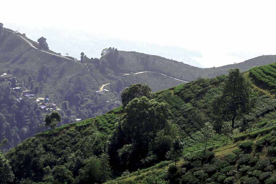 Travel Agent in Siliguri Tour Package