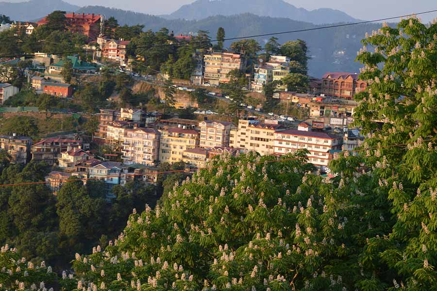 Darjeeling Tour Packages Under 3000